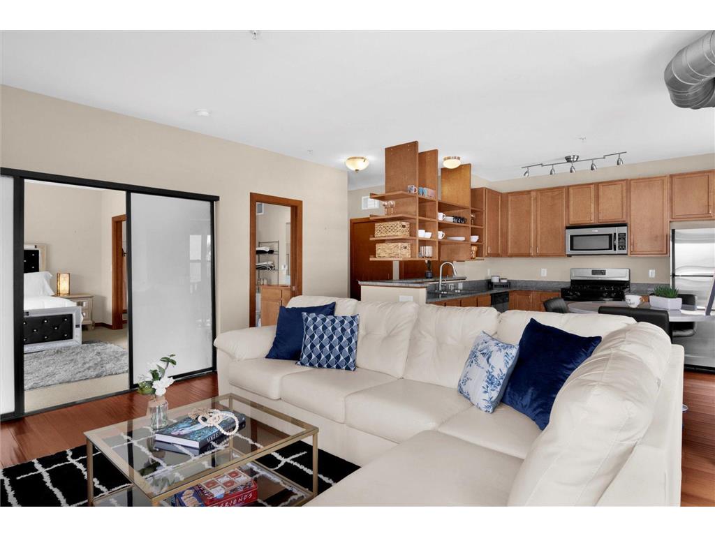 15 E Franklin Avenue #232 Minneapolis MN 55404 6341349 image1