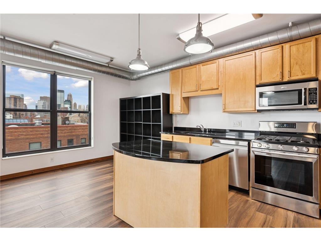 15 E Franklin Avenue #306 Minneapolis MN 55404 7018369 image20