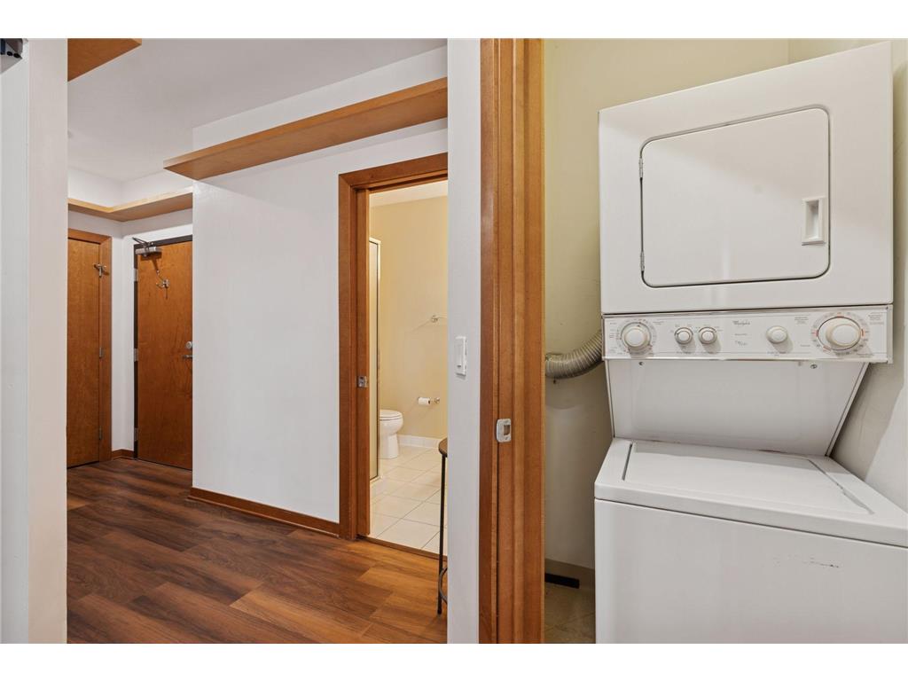 15 E Franklin Avenue #306 Minneapolis MN 55404 7018369 image30