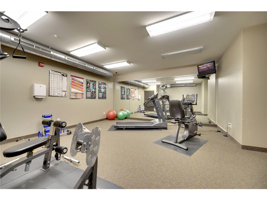 15 E Franklin Avenue #306 Minneapolis MN 55404 7018369 image33