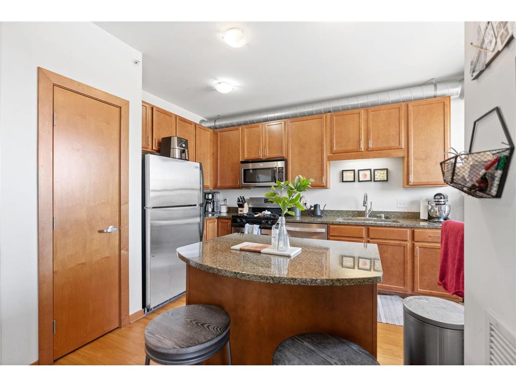 15 E Franklin Avenue #320 Minneapolis MN 55404 6719048 image7