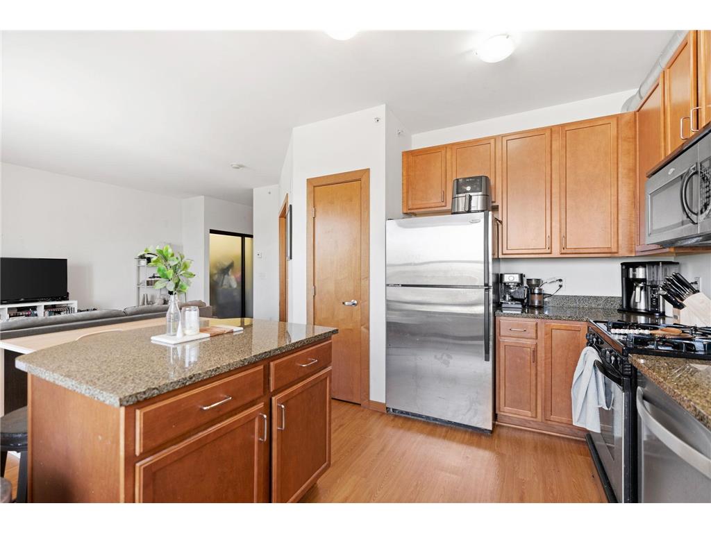 15 E Franklin Avenue #320 Minneapolis MN 55404 7006389 image7