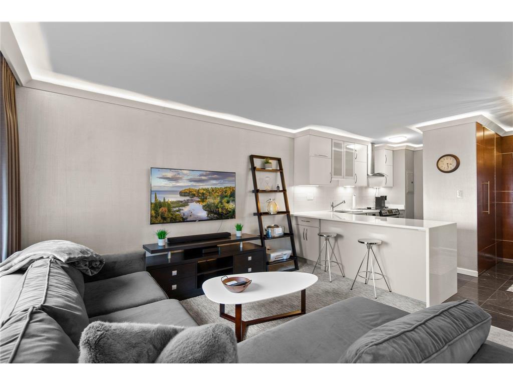 15 S 1st Street #A1108 Minneapolis MN 55401 7043529 image20