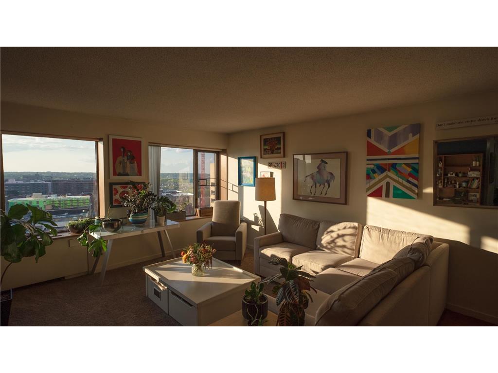 15 S 1st Street #A1619 Minneapolis MN 55401 - Mississippi 6434021 image1