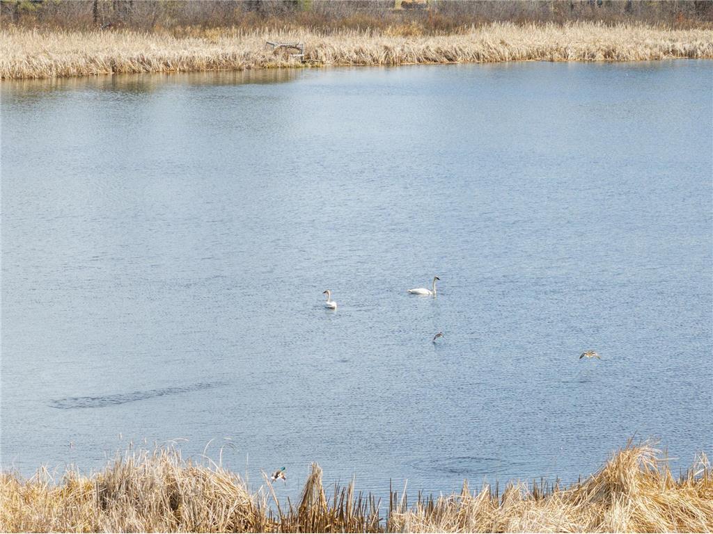 1500 40th Street SW Pine River MN 56474 - Jokela 7000972 image12