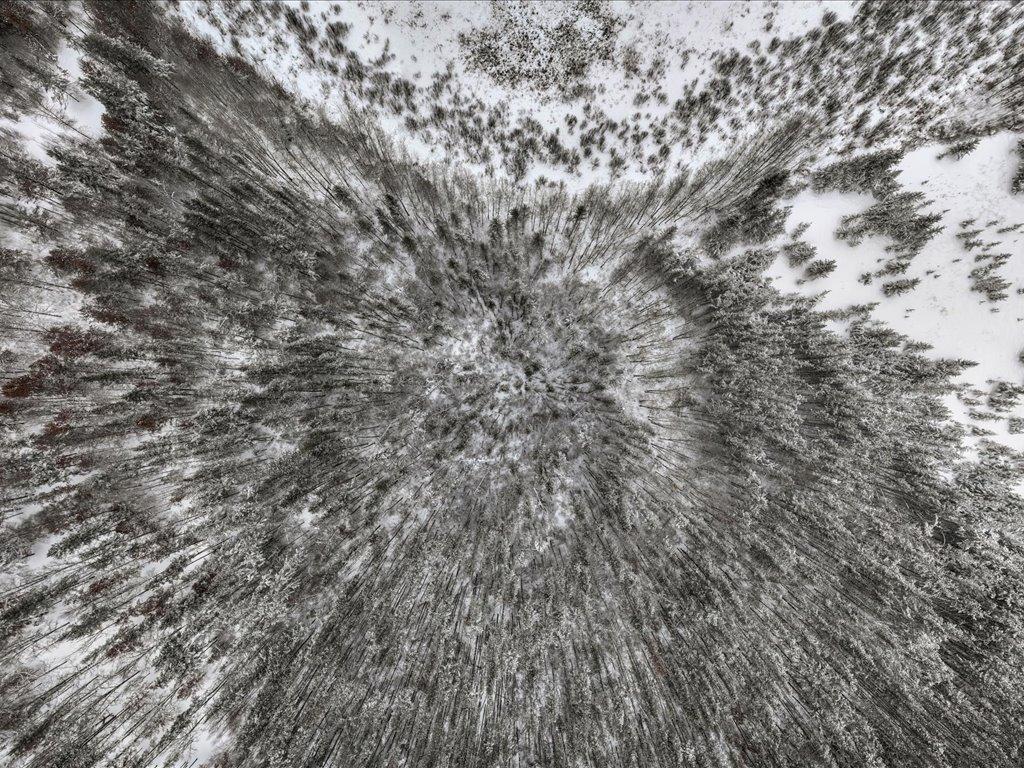 1500 40th Street SW Pine River MN 56474 - Jokela 7000972 image15