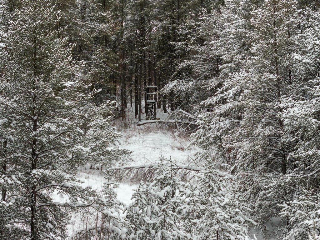 1500 40th Street SW Pine River MN 56474 - Jokela 7000972 image18