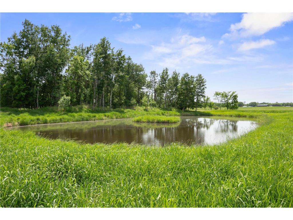 1500 Olympic Street Braham MN 55006 7087765 image32