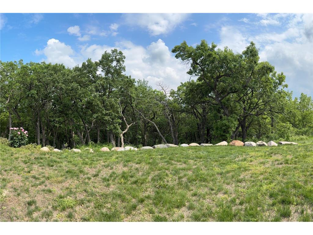 1500 Weatherhill Ridge Court SW Rochester Twp MN 55902 6738744 image98