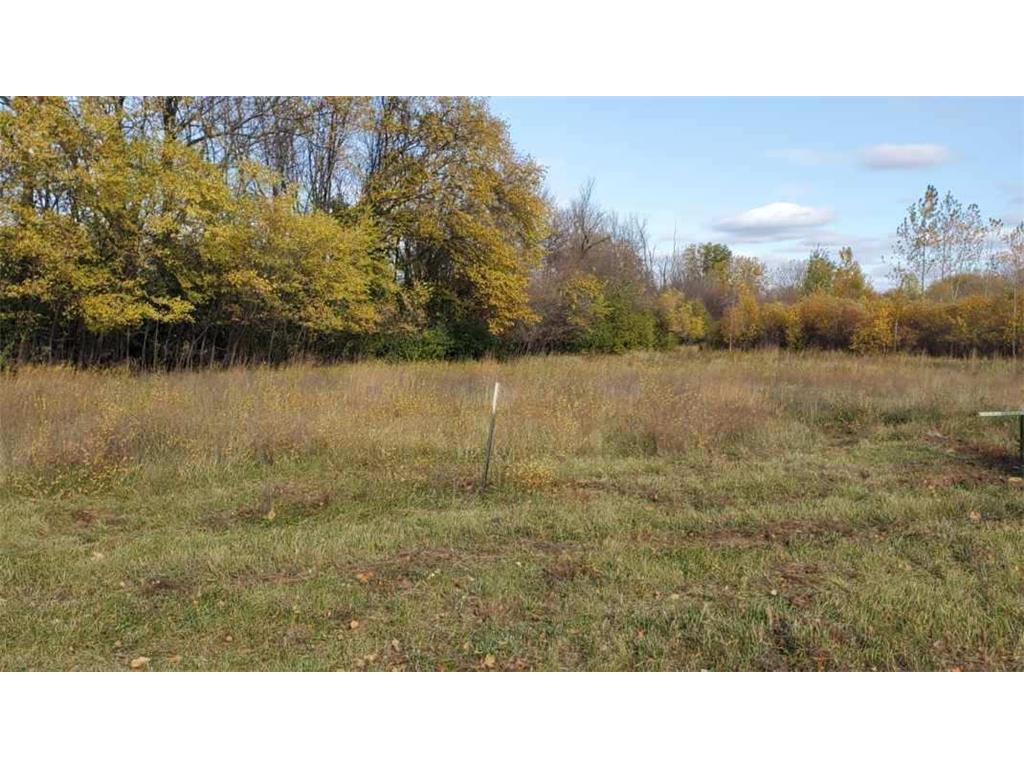 1501 Cedar Lane Litchfield MN 55355 6368544 image1