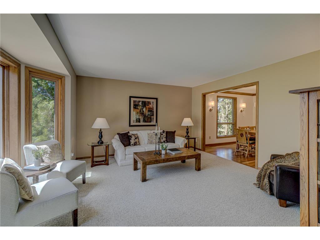 1501 Royal Lane Arden Hills MN 55112 7046692 image18