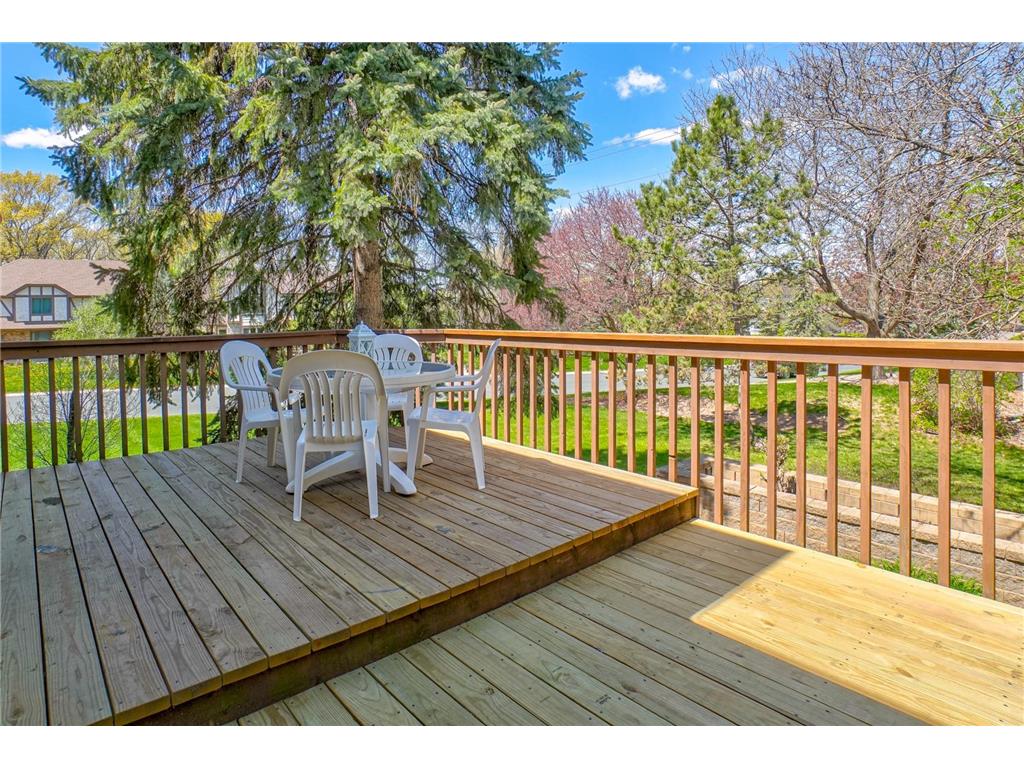 1501 Royal Lane Arden Hills MN 55112 7046692 image30