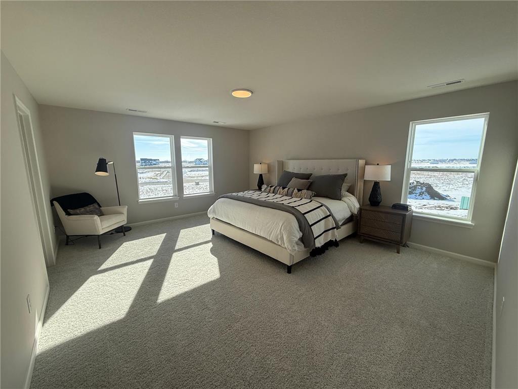 15012 Ashtown Lane Rosemount MN 55068 7016799 image13