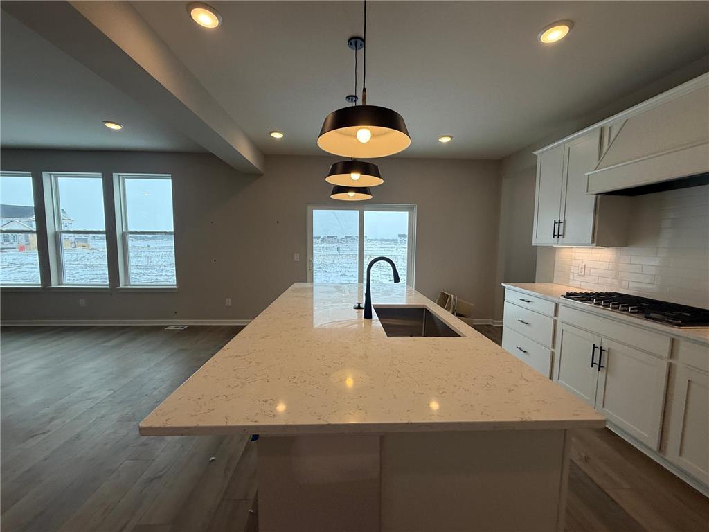 15012 Ashtown Lane Rosemount MN 55068 7016799 image33