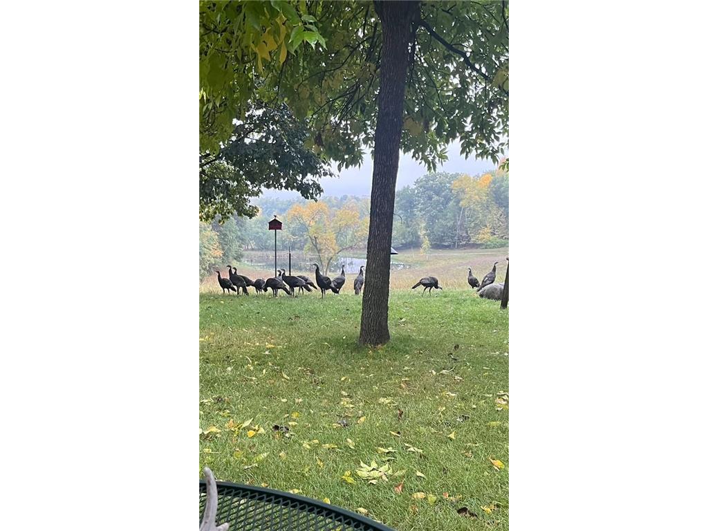 15015 Held Circle Collegeville Twp MN 56320 7027851 image14