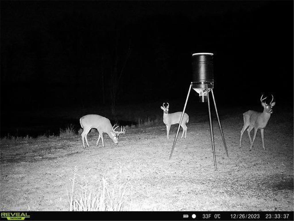 15015 Held Circle Collegeville Twp MN 56320 7027851 image15