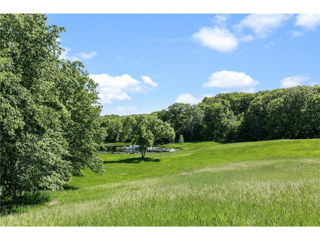 15015 Held Circle Collegeville Twp MN 56320 7027851 image35