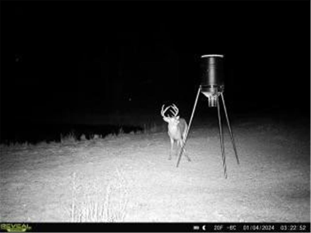 15015 Held Circle Collegeville Twp MN 56320 7027851 image51