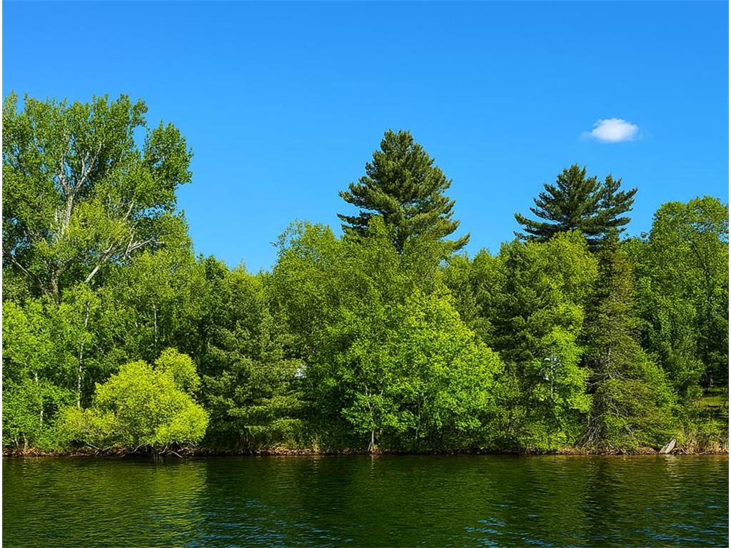 15019 Woodland Beach Lane Deerwood MN 56444 - Bay 6780628 image1