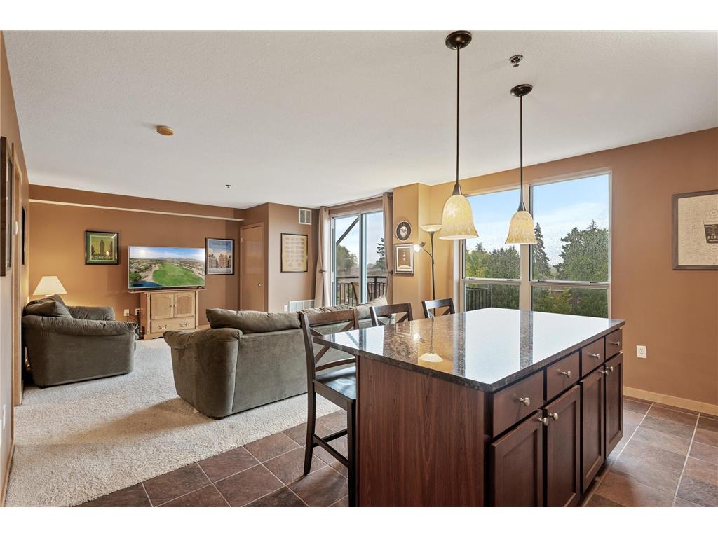 1502 5th Street N #403 Hopkins MN 55305 6788877 image17