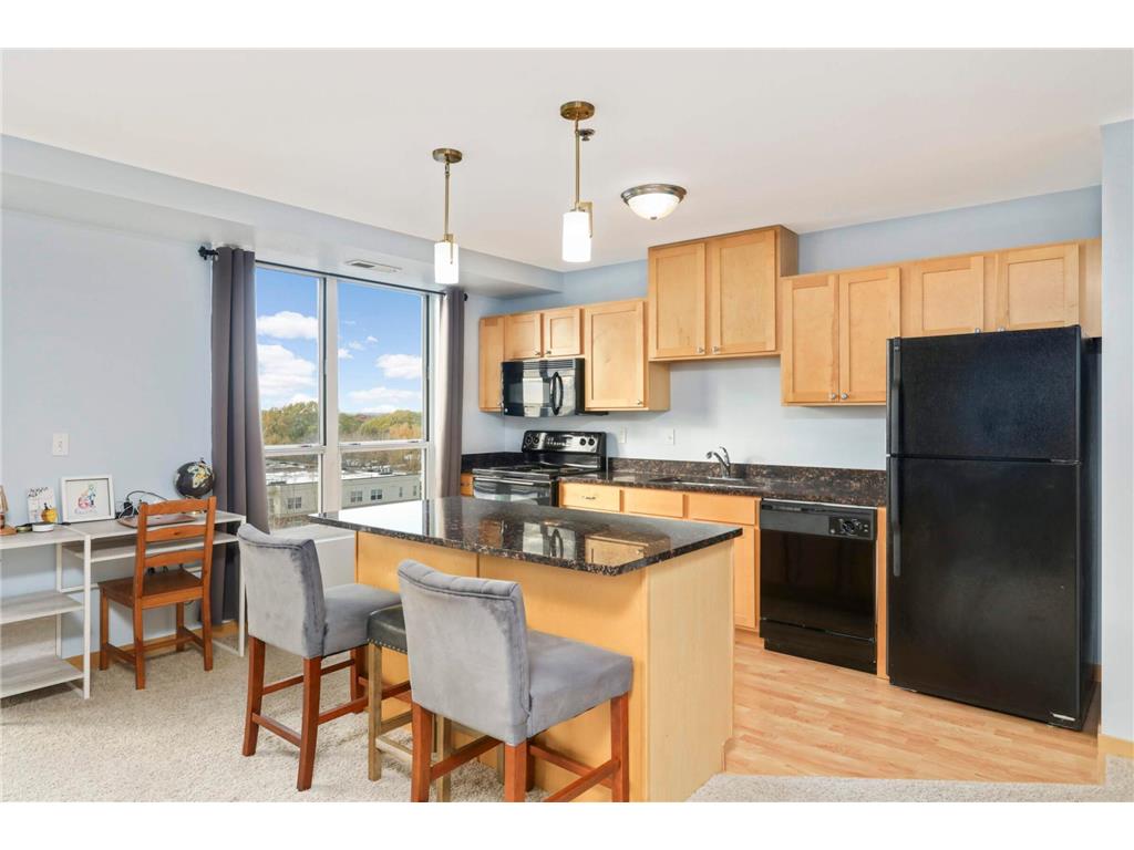 1502 5th Street N #702 Hopkins MN 55305 7065585 image4