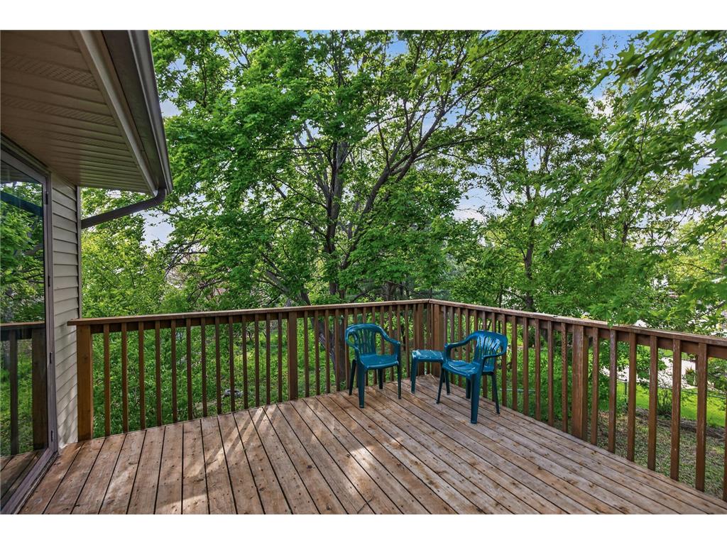 15026 Chestnut Drive Burnsville MN 55306 7080608 image29