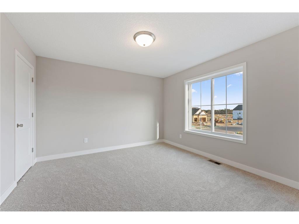 15029 Ardmullivan Lane Rosemount MN 55068 7062089 image28