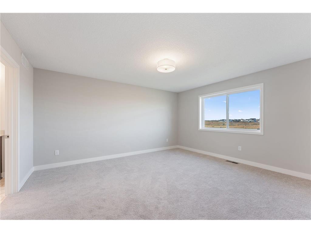 15029 Ardmullivan Lane Rosemount MN 55068 7062089 image34