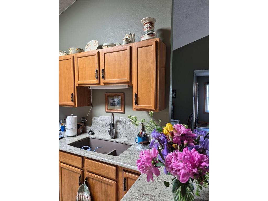 1503 Highview Trail #6 Albert Lea MN 56007 7086456 image12