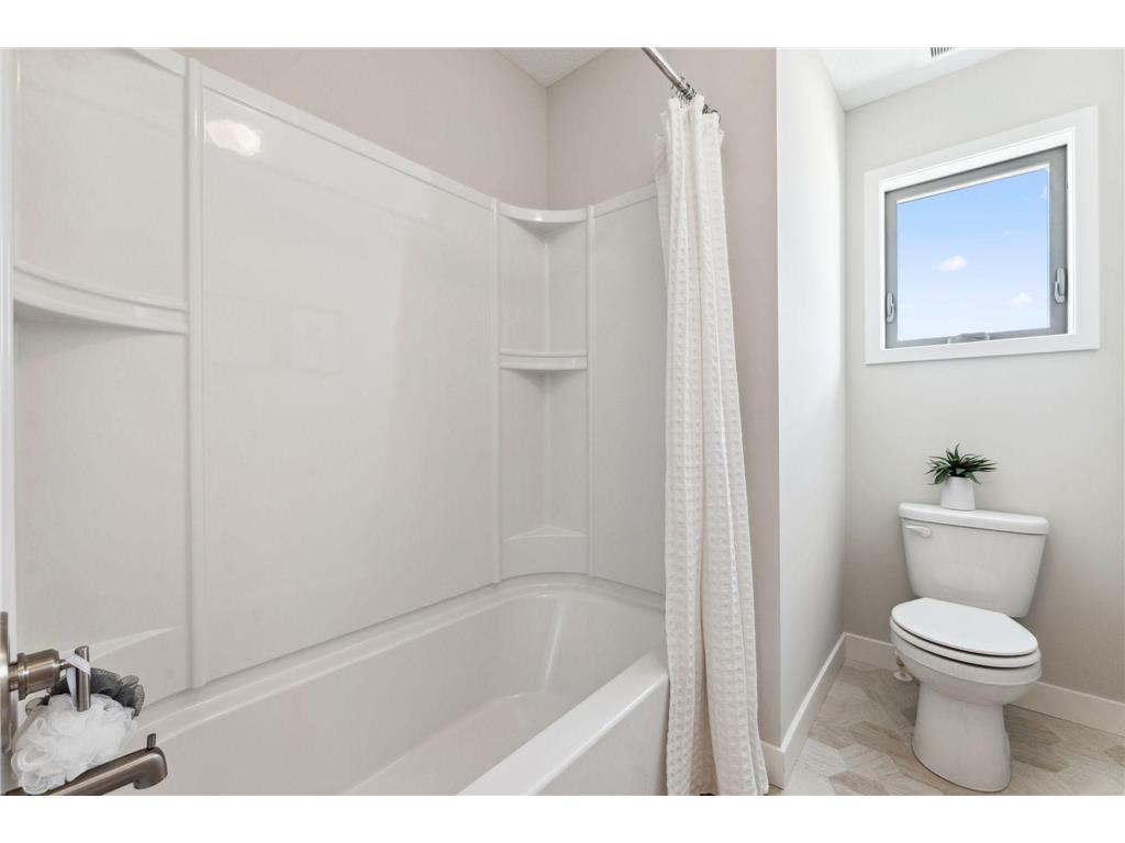 15032 Ardmullivan Lane Rosemount MN 55068 6811088 image22