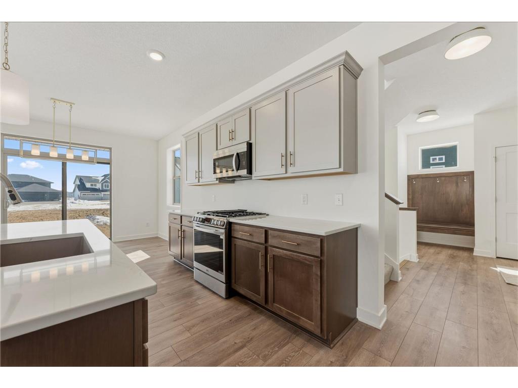 15032 Ardmullivan Lane Rosemount MN 55068 7062088 image11