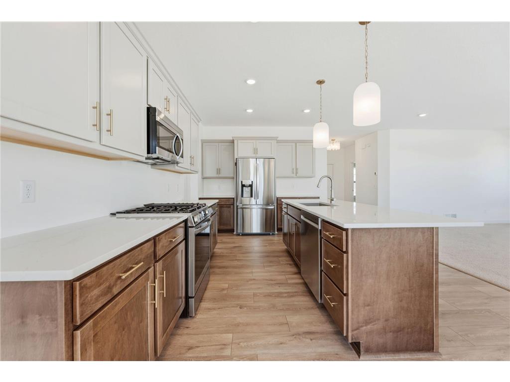 15032 Ardmullivan Lane Rosemount MN 55068 7062088 image15