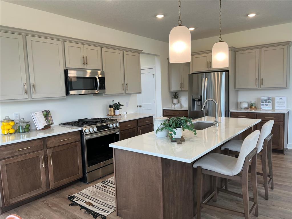 15032 Ardmullivan Lane Rosemount MN 55068 7092344 image17