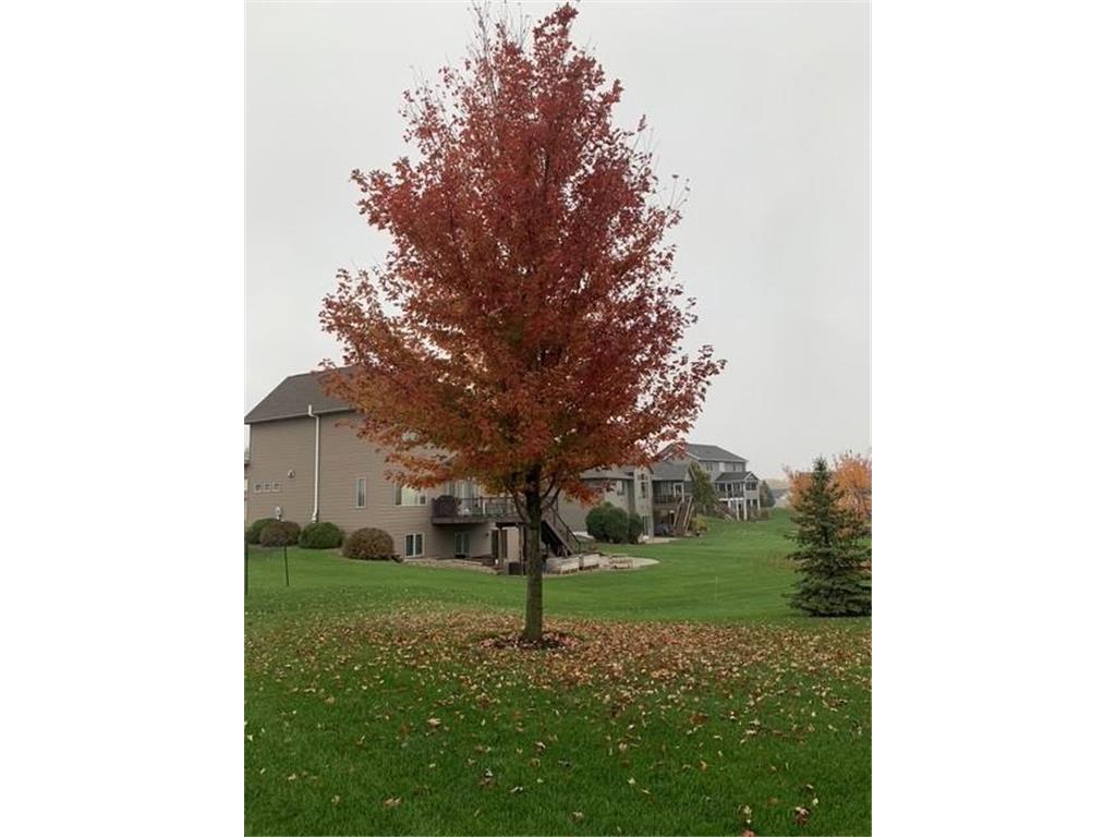 1504 Century Corner Lane NE Rochester MN 55906 7024766 image81