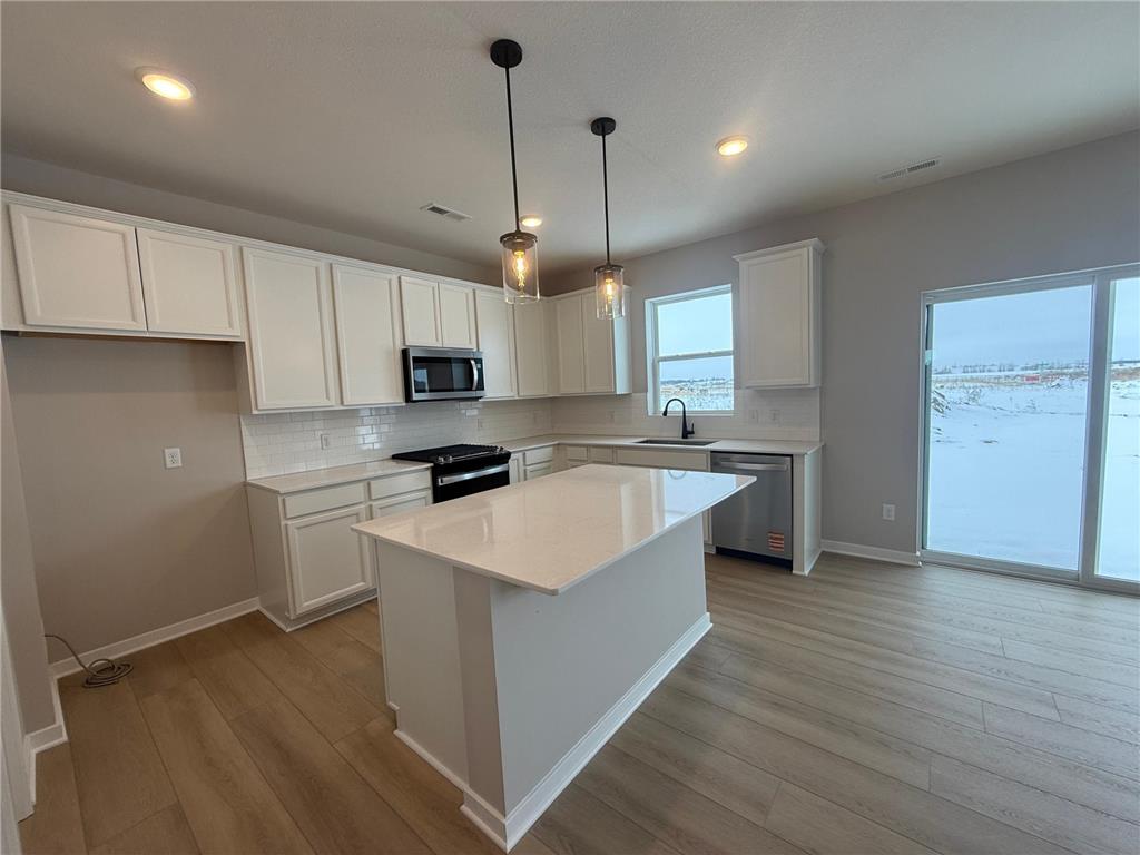 15040 Athenry Bay Rosemount MN 55068 7016802 image5