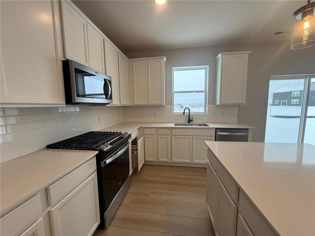 15040 Athenry Bay Rosemount MN 55068 7016802 image6