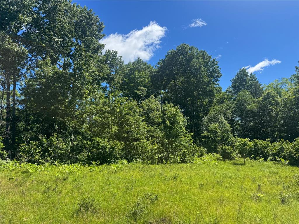 15043 S Thorn Lake Loop Gordon WI 54838 - Thorn 7095785 image10