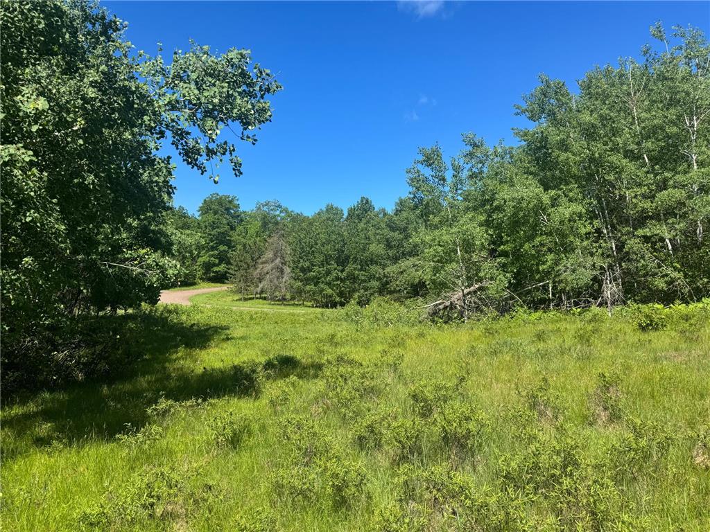 15043 S Thorn Lake Loop Gordon WI 54838 - Thorn 7095785 image11