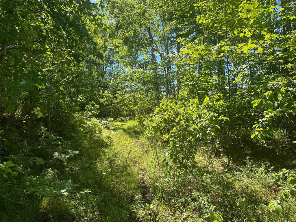 15043 S Thorn Lake Loop Gordon WI 54838 - Thorn 7095785 image12
