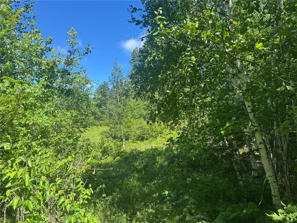 15043 S Thorn Lake Loop Gordon WI 54838 - Thorn 7095785 image13