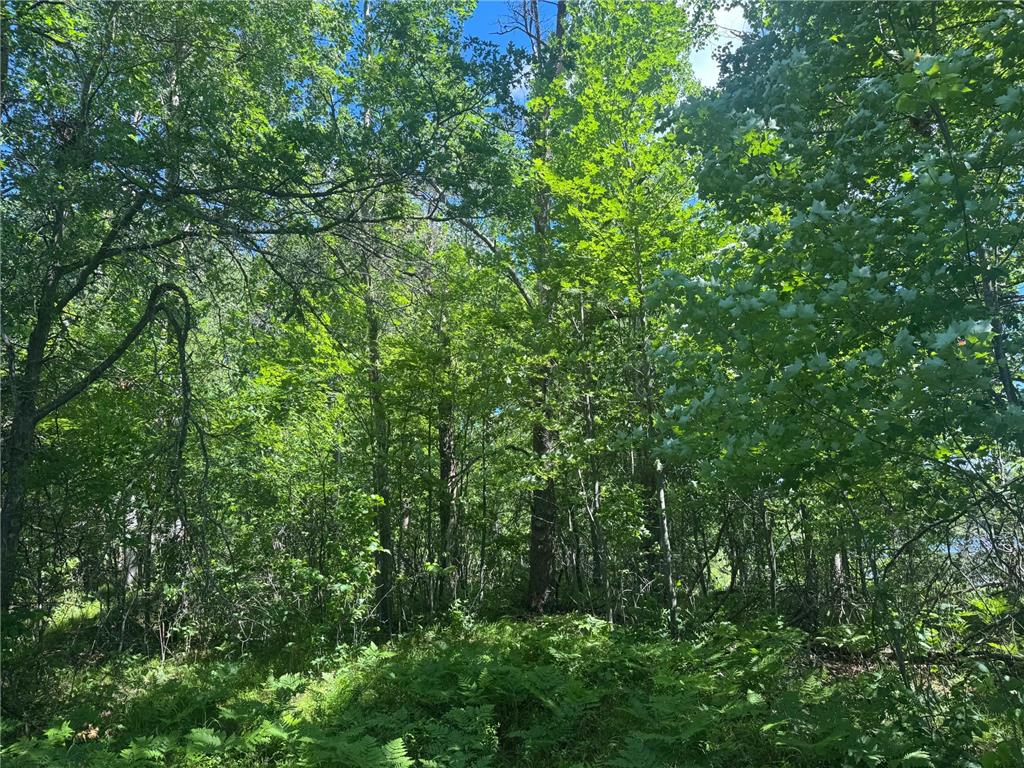 15043 S Thorn Lake Loop Gordon WI 54838 - Thorn 7095785 image14