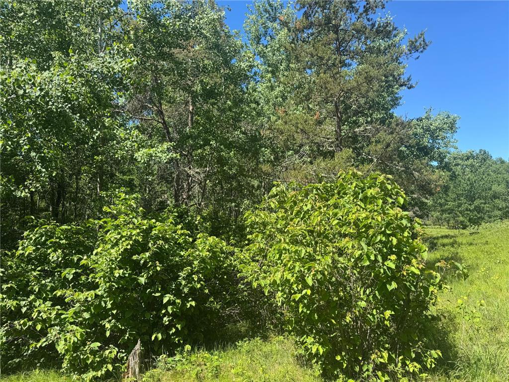 15043 S Thorn Lake Loop Gordon WI 54838 - Thorn 7095785 image15