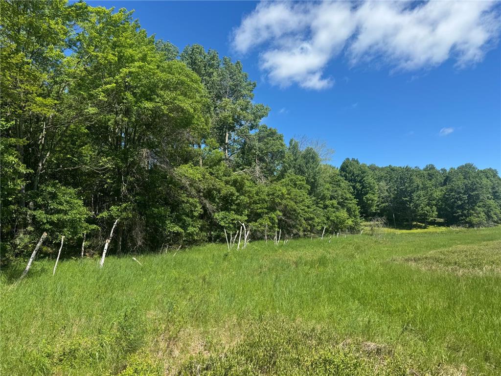 15043 S Thorn Lake Loop Gordon WI 54838 - Thorn 7095785 image20