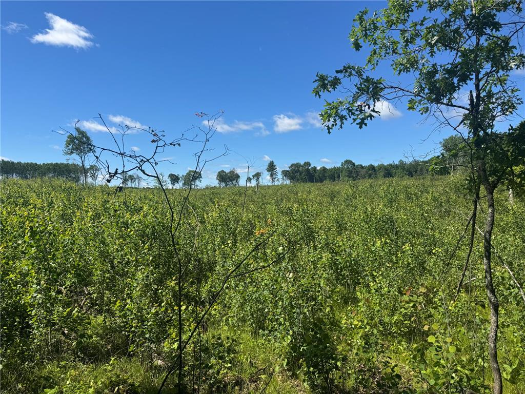 15043 S Thorn Lake Loop Gordon WI 54838 - Thorn 7095785 image23