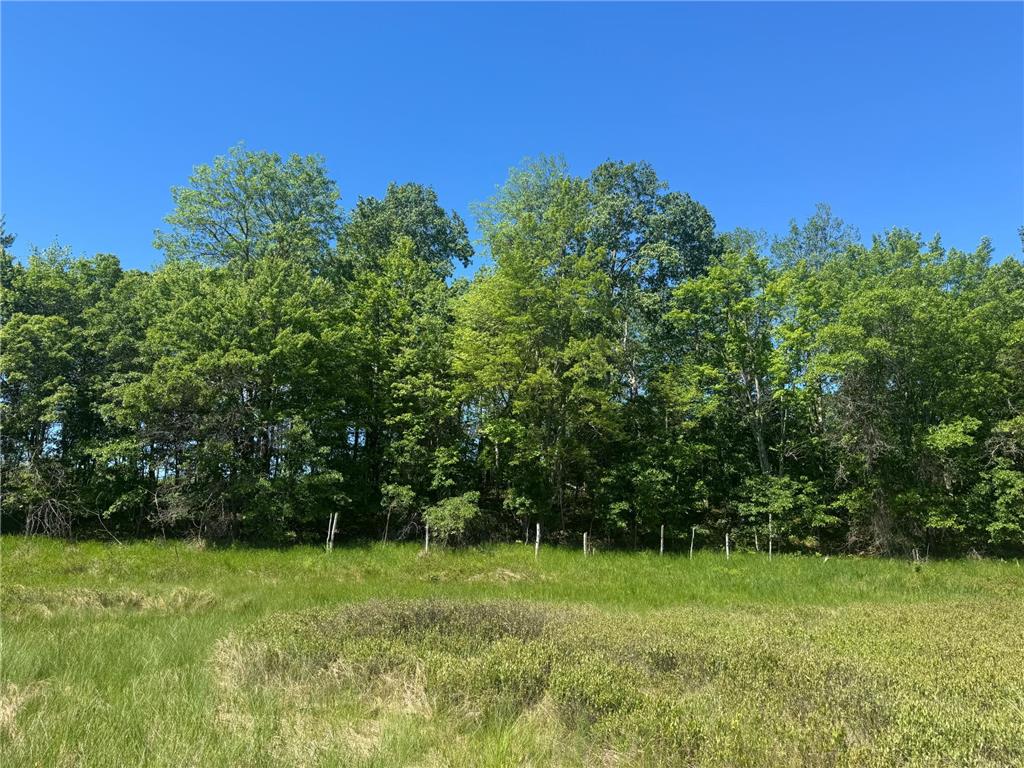 15043 S Thorn Lake Loop Gordon WI 54838 - Thorn 7095785 image24