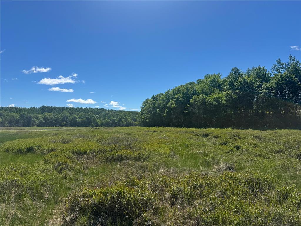 15043 S Thorn Lake Loop Gordon WI 54838 - Thorn 7095785 image25