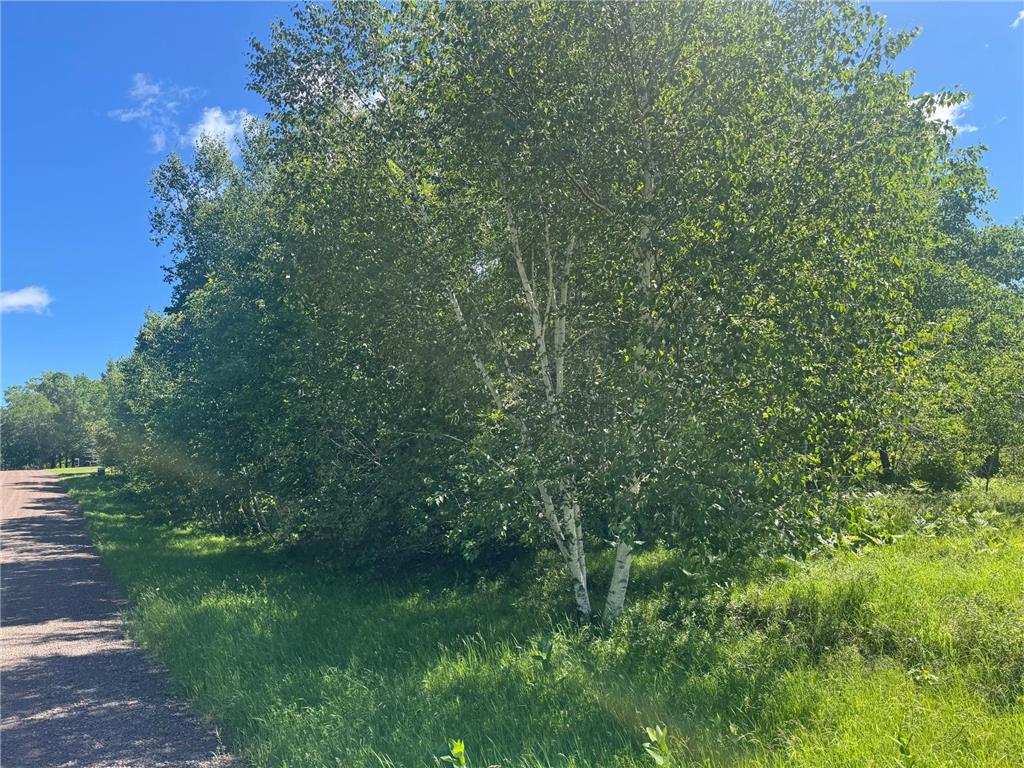 15043 S Thorn Lake Loop Gordon WI 54838 - Thorn 7095785 image26