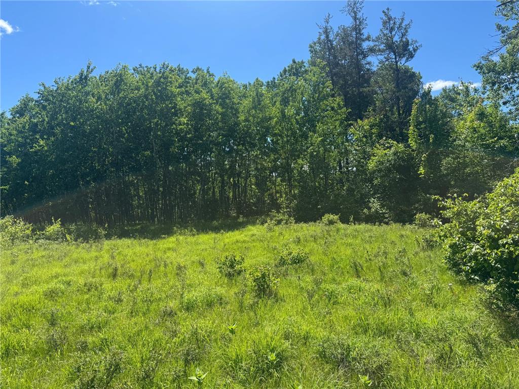 15043 S Thorn Lake Loop Gordon WI 54838 - Thorn 7095785 image6