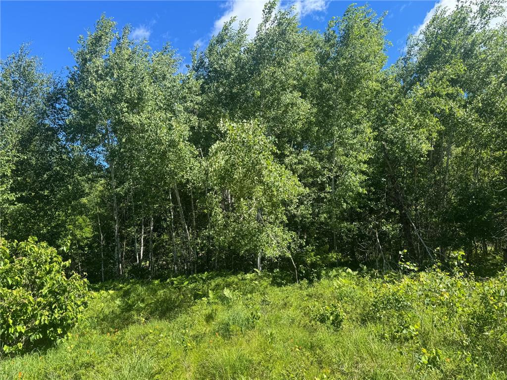 15043 S Thorn Lake Loop Gordon WI 54838 - Thorn 7095785 image7