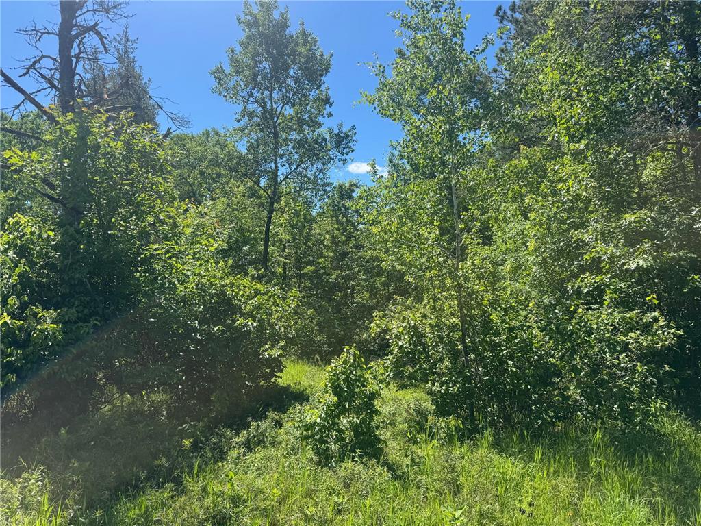 15043 S Thorn Lake Loop Gordon WI 54838 - Thorn 7095785 image8